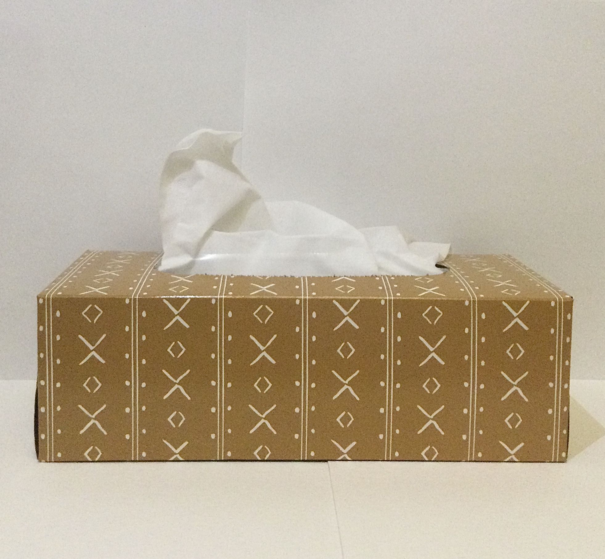 Photograph of a tissue box, angle 1