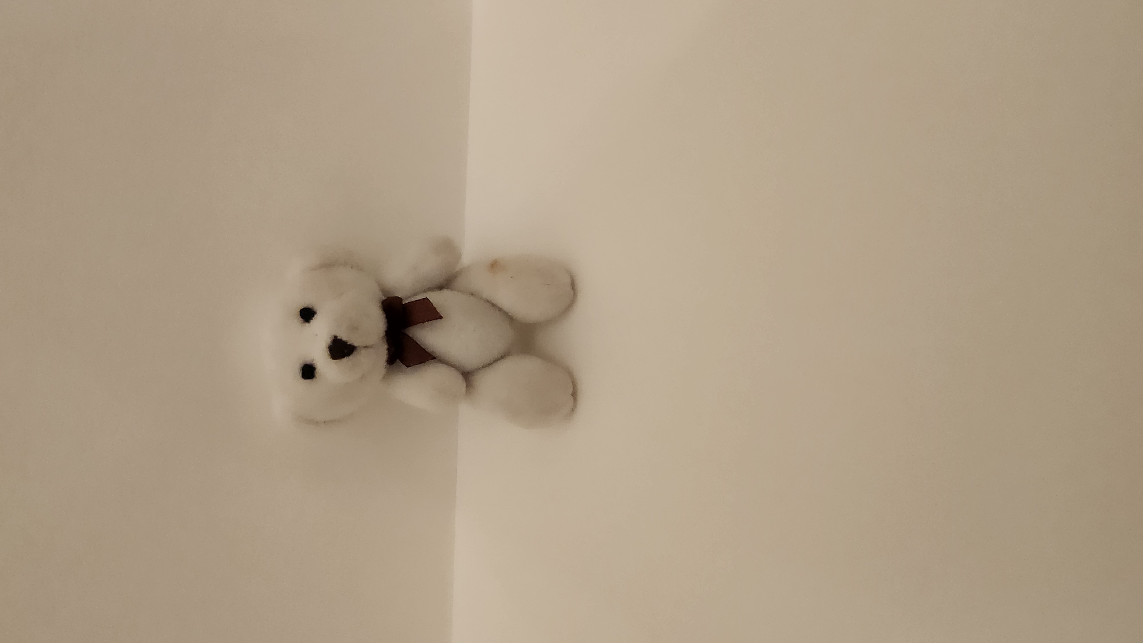 photo of toy bear